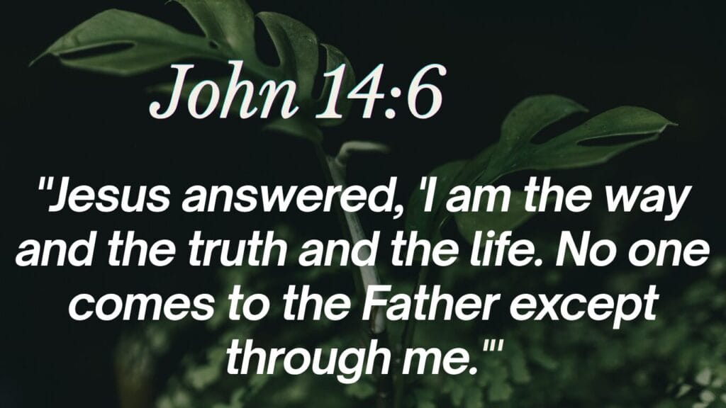 Jesus the way daily