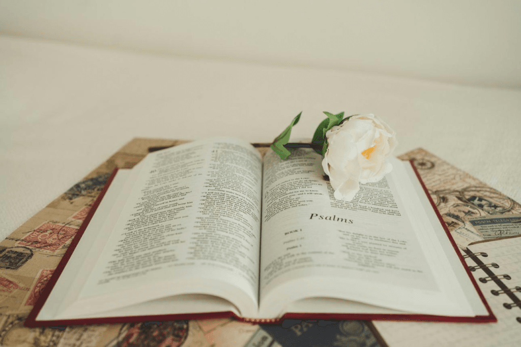 bible verses about forgiving others who hurt you